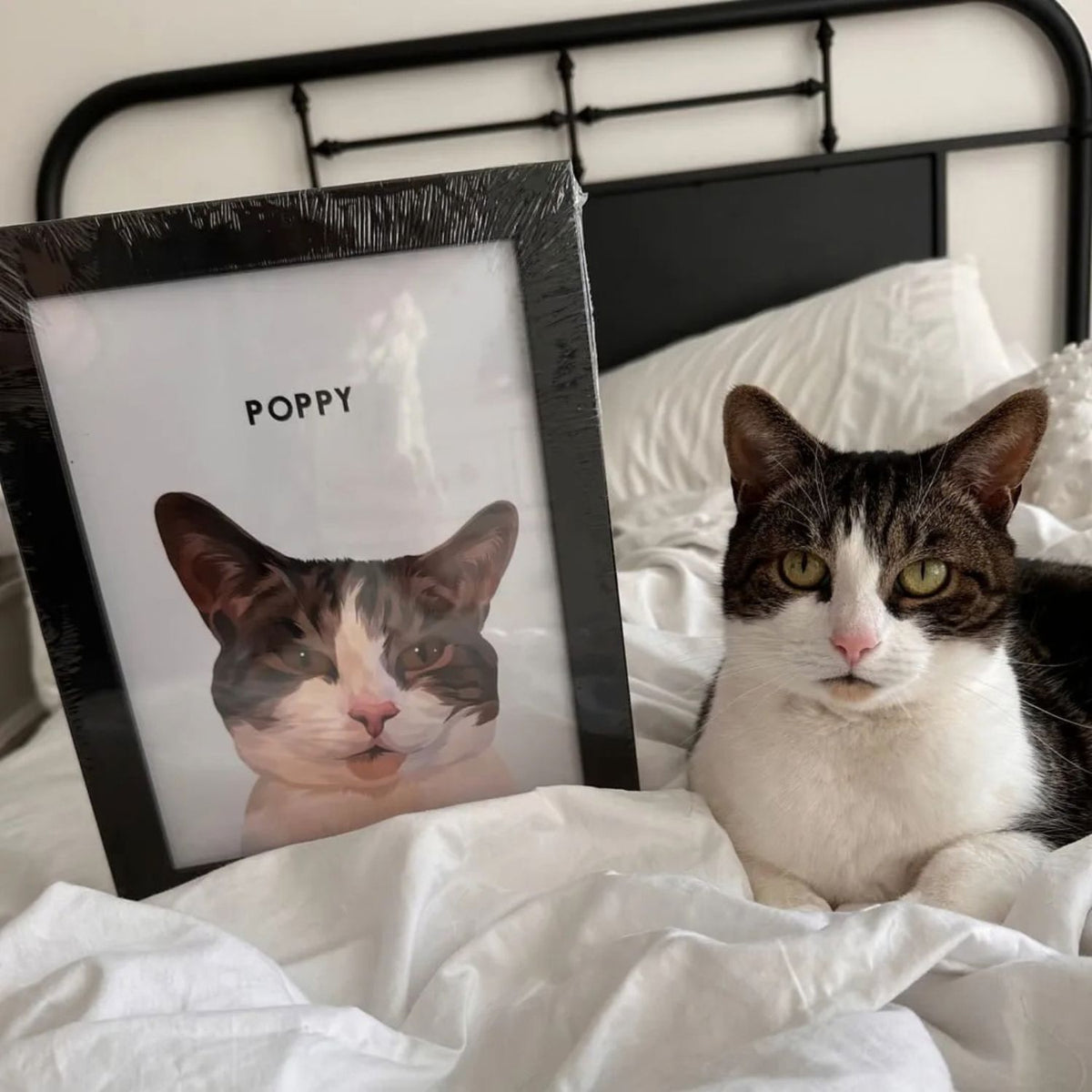 Nowoczesny portret pupila